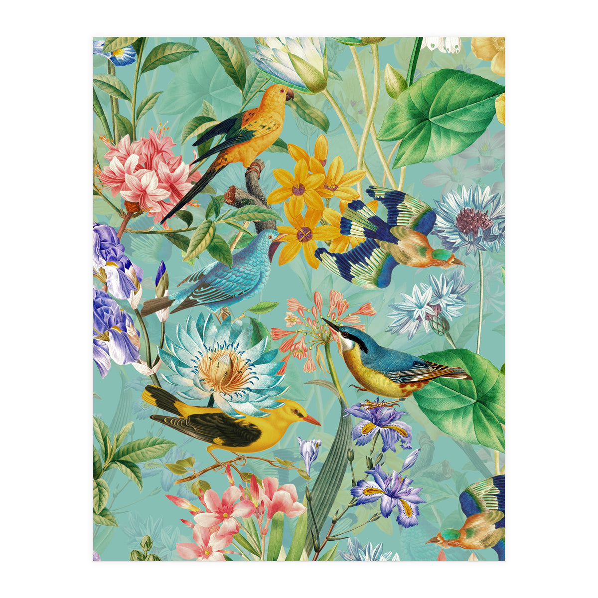 Birds In Tropical Jungle  (Print Only)