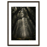 Enchanted Canopy: Mystical Forest Path thumbnail