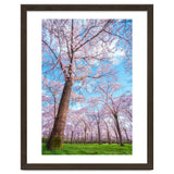 Spring in optima forma thumbnail