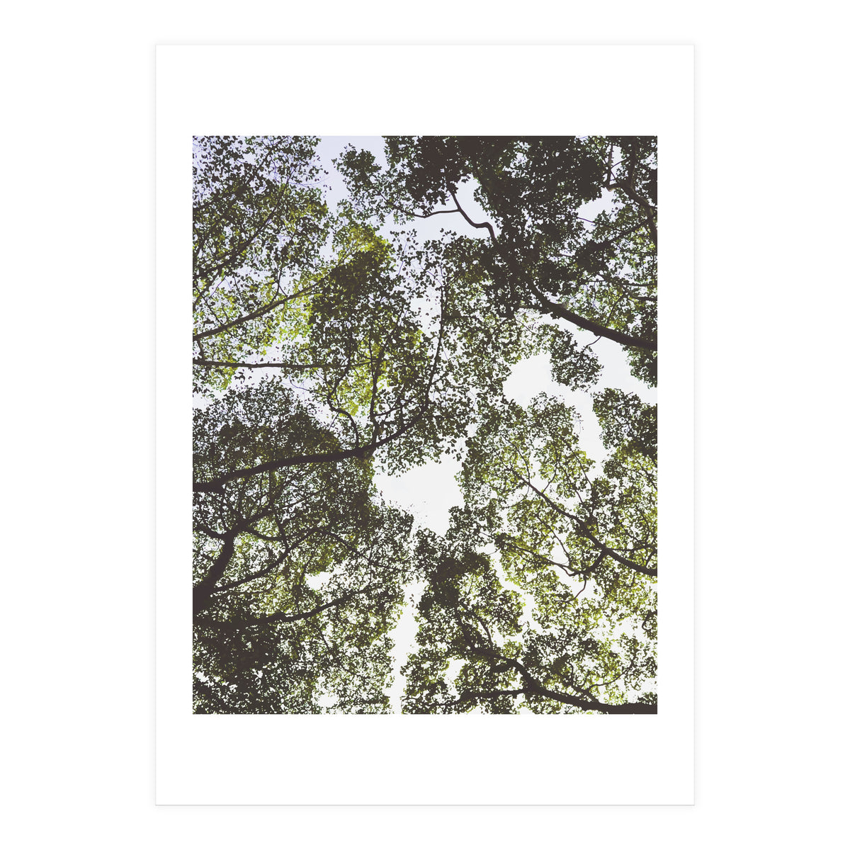 Mother Nature (Print Only)