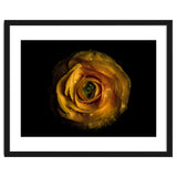 Backyard Flowers No 72 Color Version thumbnail