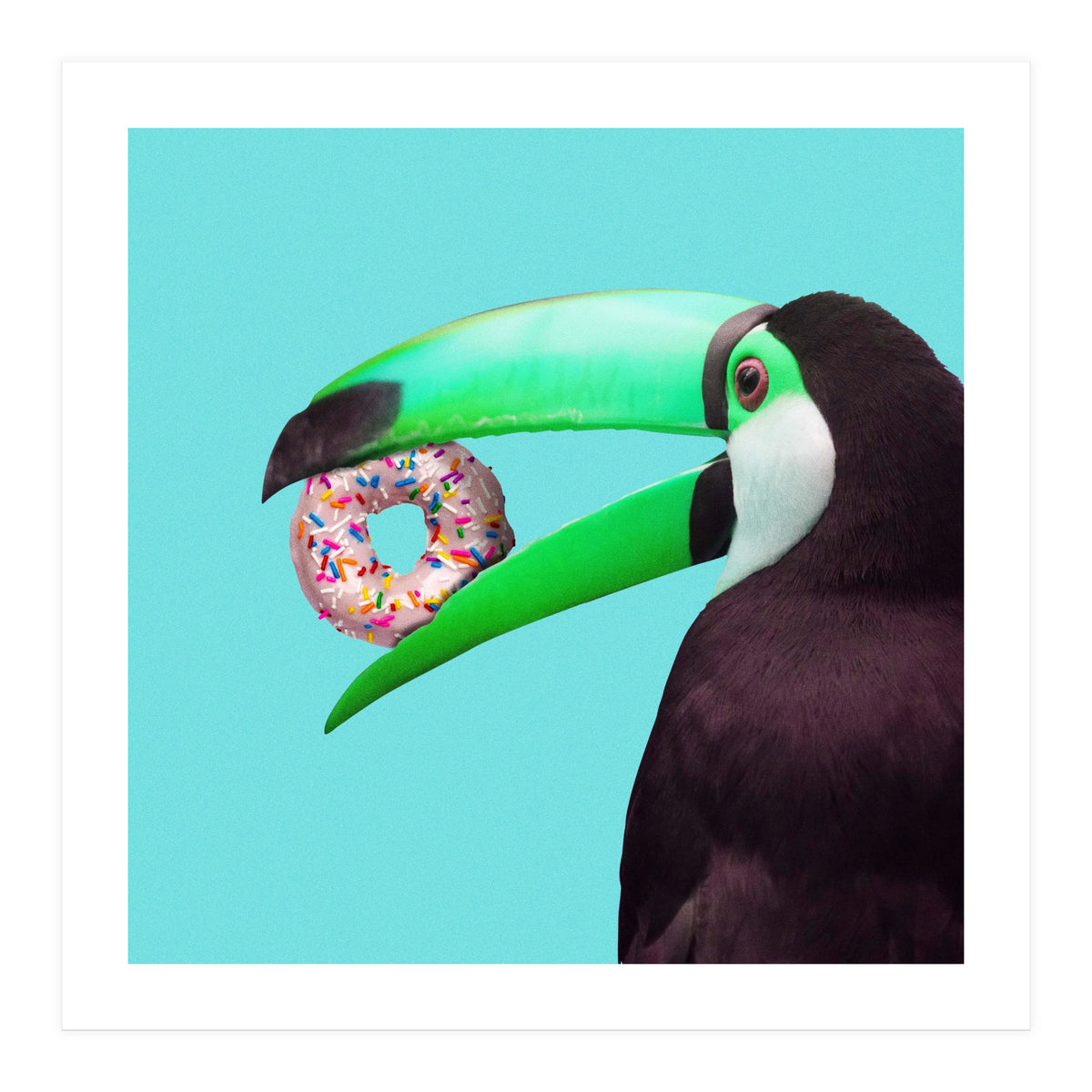 Sweet Toucan (Print Only)