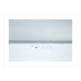 Seagulls in the Snow beach (Print Only) thumbnail