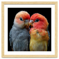 Two Lovebirds Nuzzle Together