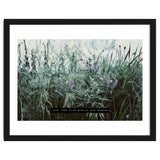 Photography - Summer Garden thumbnail