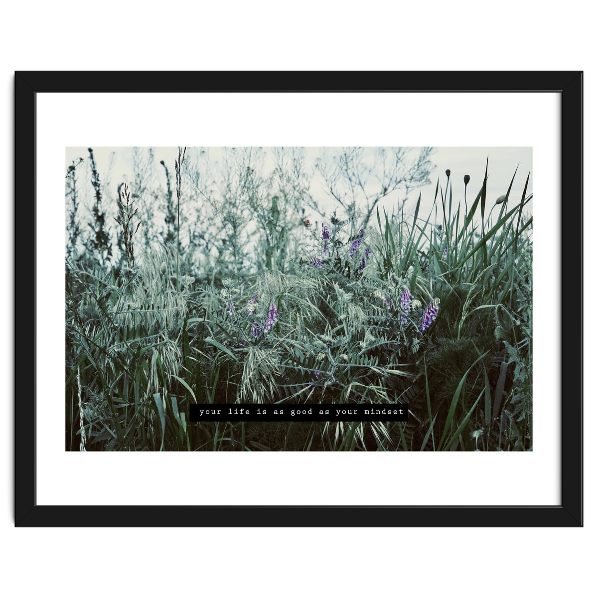 Photography - Summer Garden