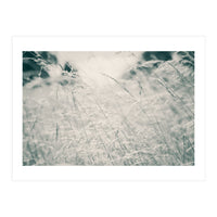 Walking Through Long Grass (Print Only)