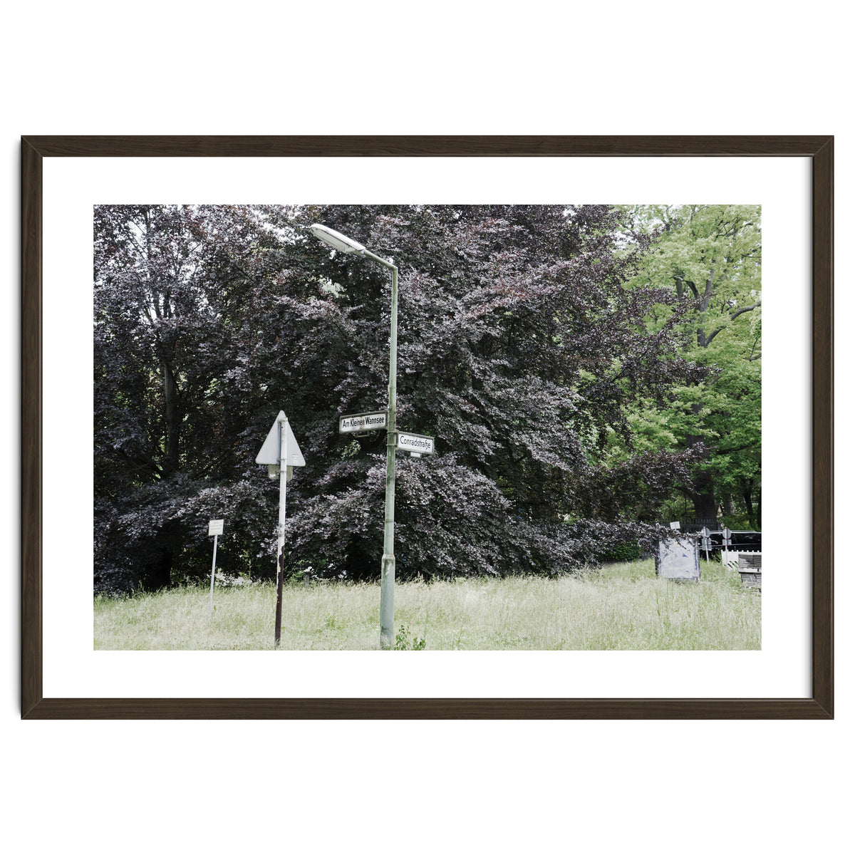 Signs at the corner of the street