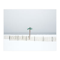 Fake palm tree in the winter snow beach (Print Only)