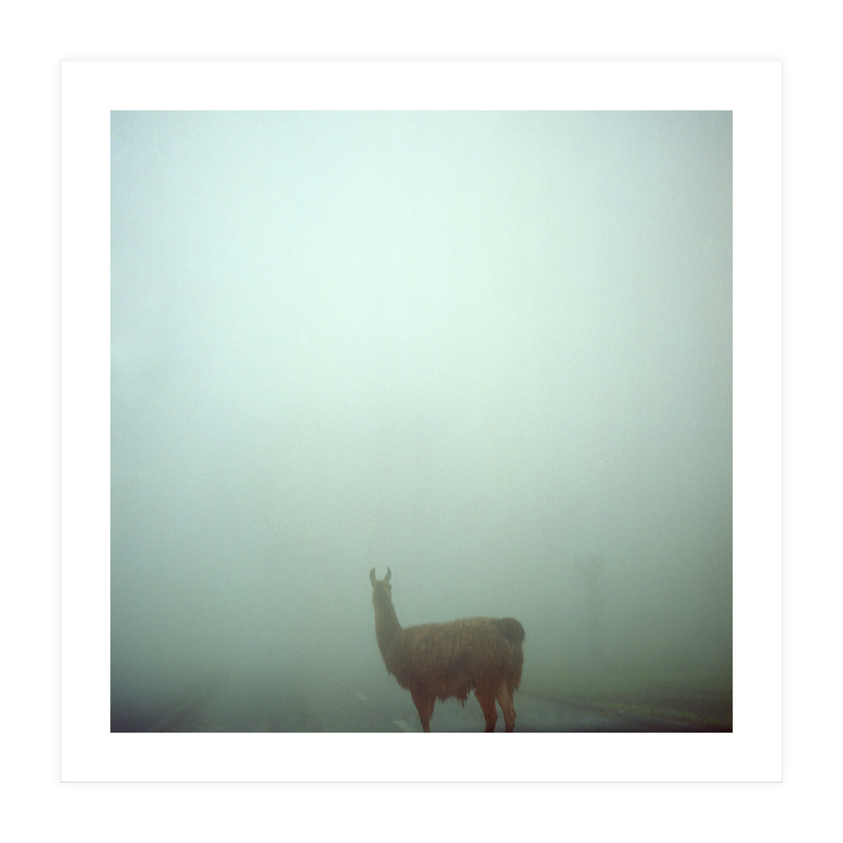 Silence of breath - 04 (Print Only)