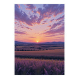 Serene Lavender Fields at Golden Hour Sunset (Print Only) thumbnail