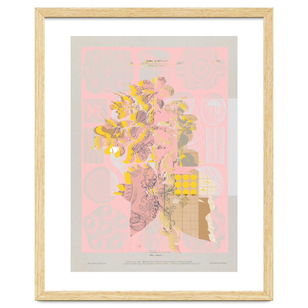 The First Plant · Tuesday Mix Mit Resten