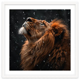 Lion Looking Up In The Snow Majestic thumbnail