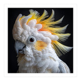 Beautiful Cockatoo Parrot Portrait Headshot (Print Only) thumbnail