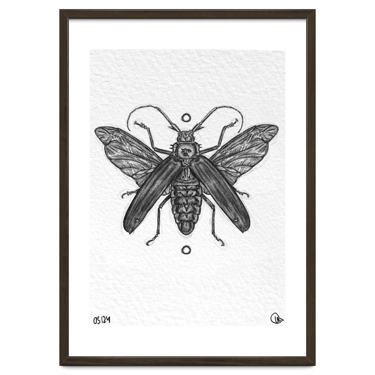 Riesen Longhorn Käfer