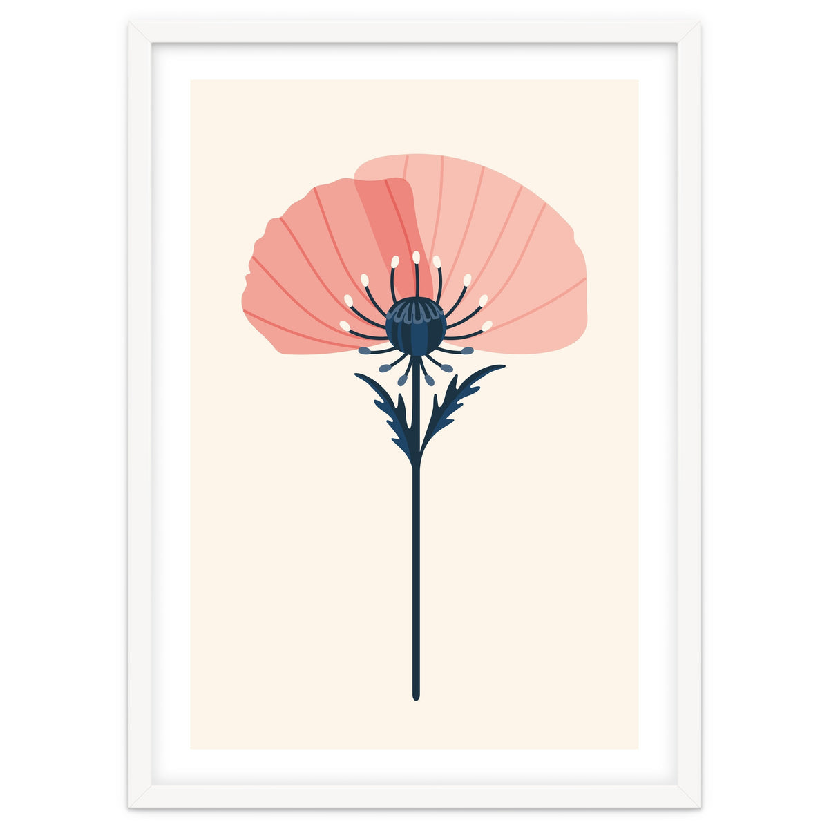 Pink Half Poppy