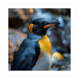 King Penguin Close Up Portrait Nature (Print Only) thumbnail