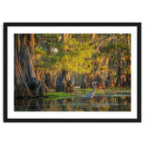 Heron in the swamps thumbnail