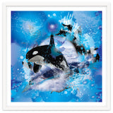 Orca thumbnail