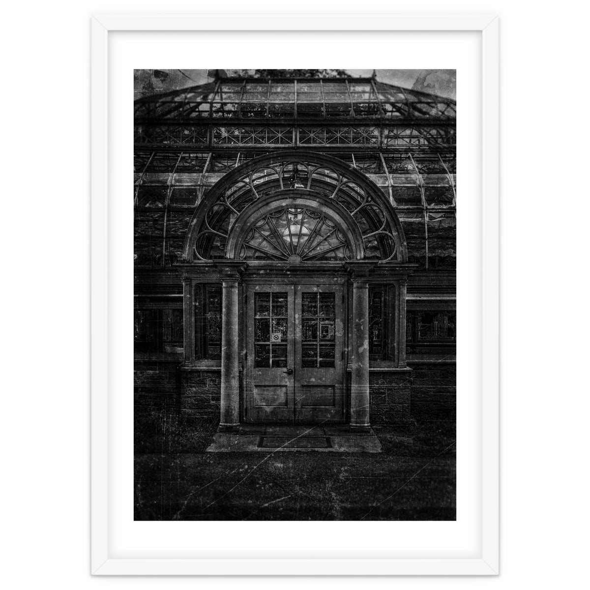 Allan Gardens Conservatory Palm House No 5 Old Film Version