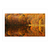 Autumn Reflections (Print Only)