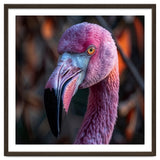 Close Up Of A Pink Flamingo Bird Face thumbnail