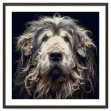 Old Dog 010 thumbnail