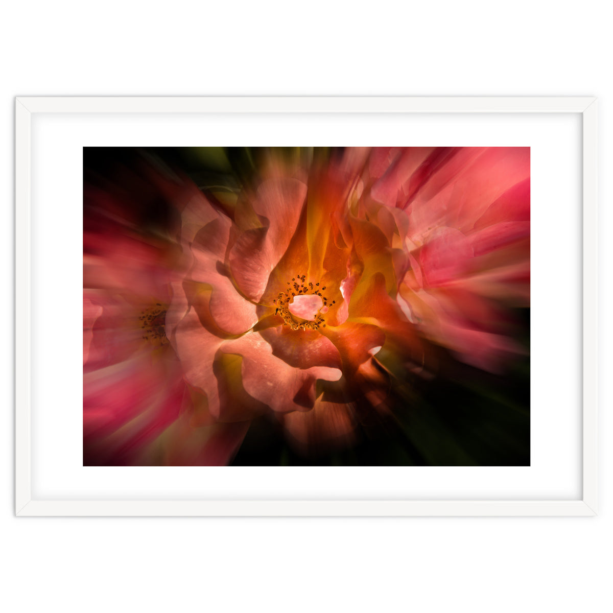 Backyard Flowers No 40 Color Flow Version