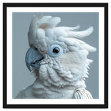 White Cockatoo Bird Portrait Close Up thumbnail