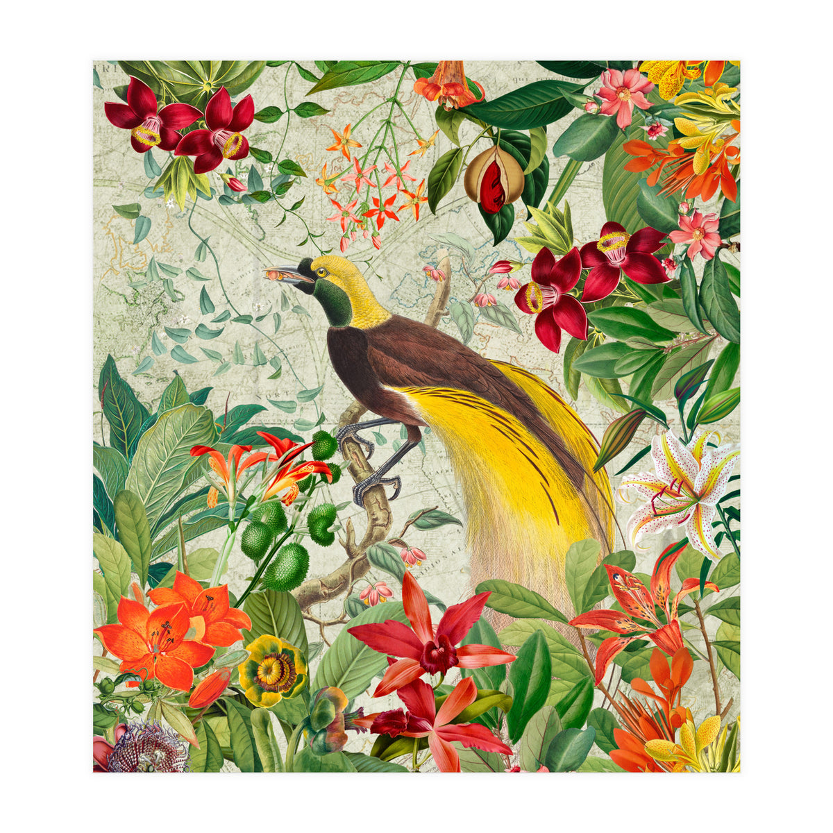 Bird of paradise vintage jungle  (Print Only)