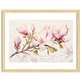 Magnolia Spring Romance Pink thumbnail