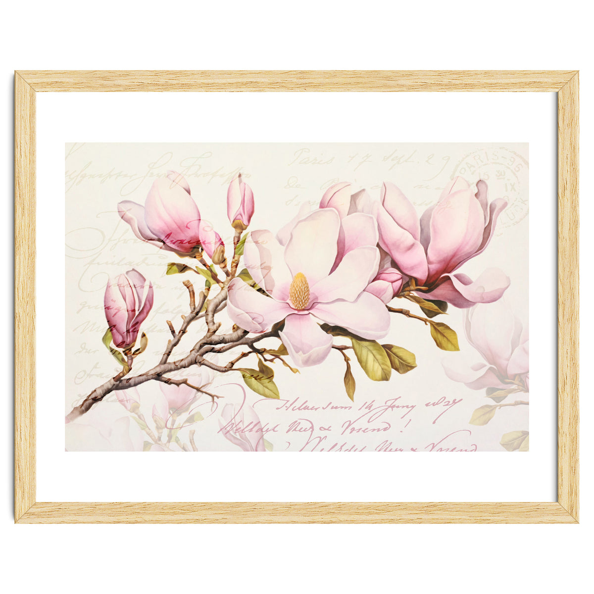 Magnolia Spring Romance Pink