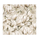 Magnolia And Butterfly Cream (Print Only) thumbnail