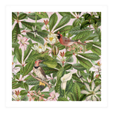 Tropical Bird Garden (Print Only) thumbnail