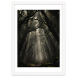 Enchanted Canopy: Mystical Forest Path thumbnail
