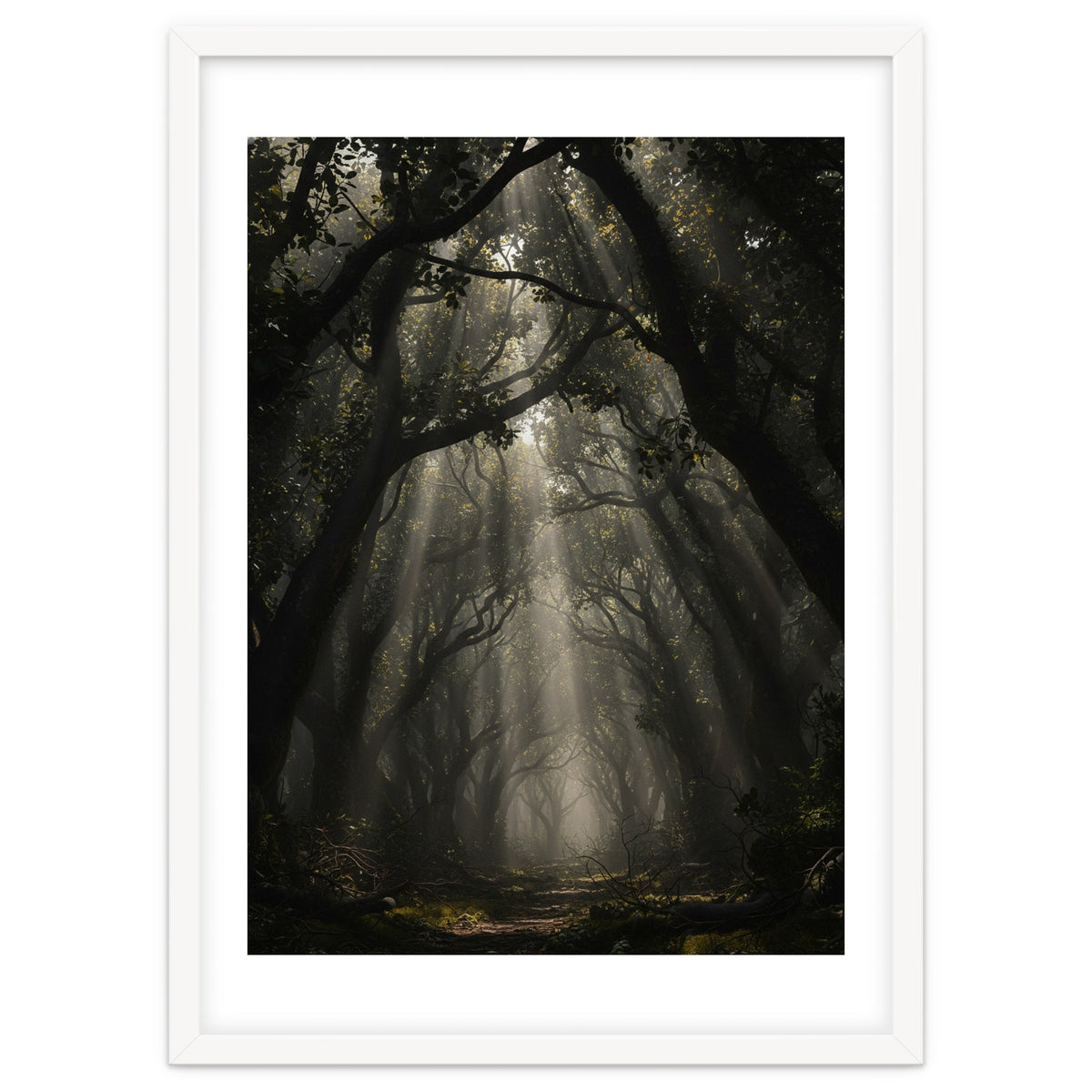 Enchanted Canopy: Mystical Forest Path