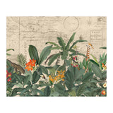 Explore The New World Wild Animals (Print Only) thumbnail