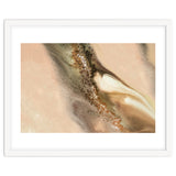Coastal Dunes thumbnail