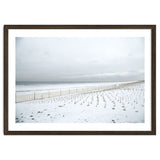 Winter grass in snow beach thumbnail