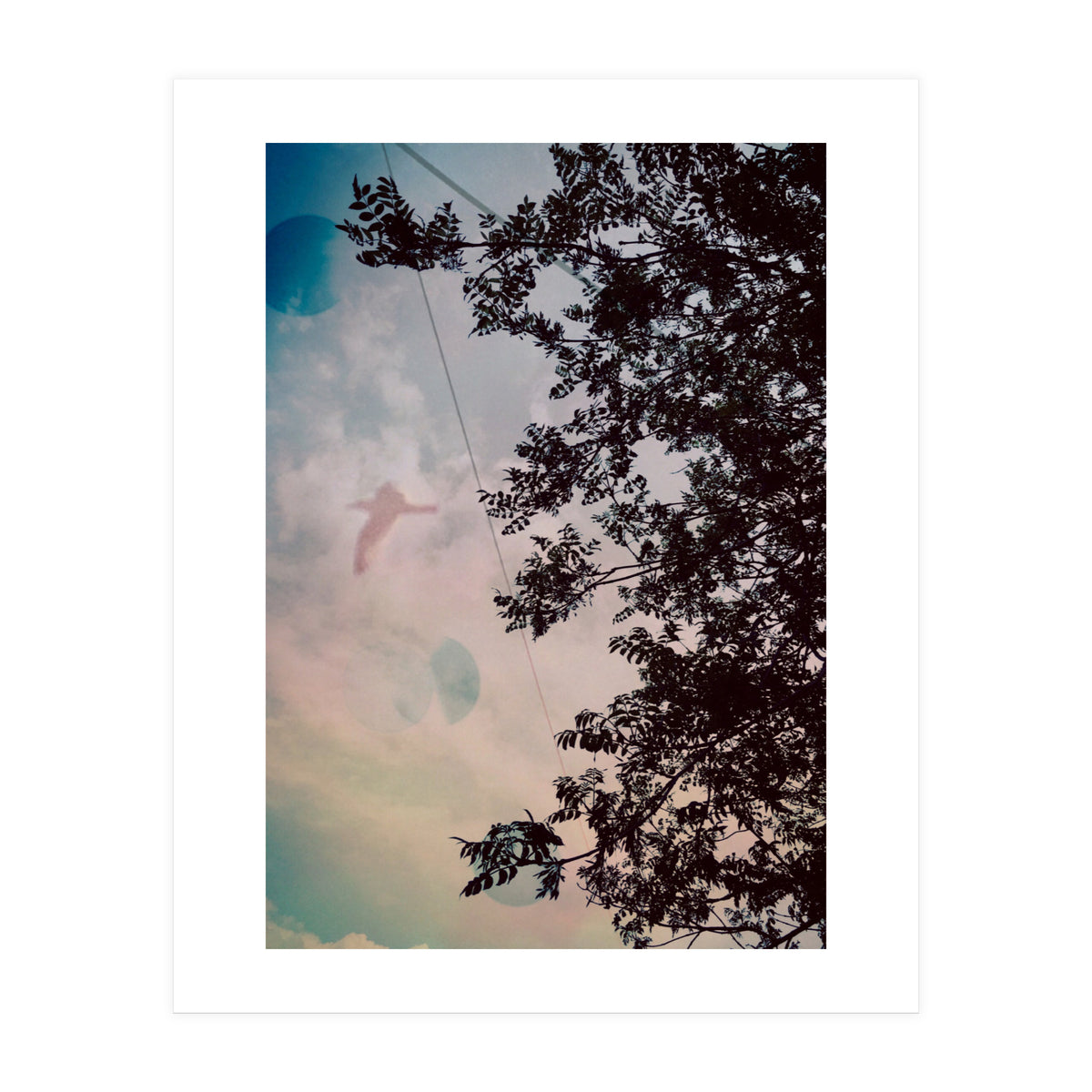 This Bird Has Flown (Print Only)