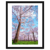 Spring in optima forma thumbnail