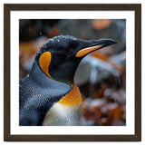 King Penguin In Rain With Water Drops thumbnail