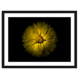 Backyard Flowers No 10 Color Version thumbnail