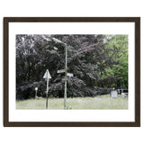 Signs at the corner of the street thumbnail