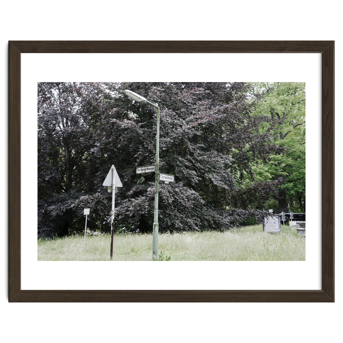 Signs at the corner of the street