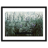 Photography - Summer Garden thumbnail