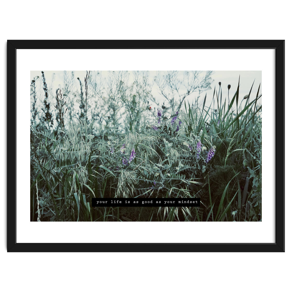 Photography - Summer Garden