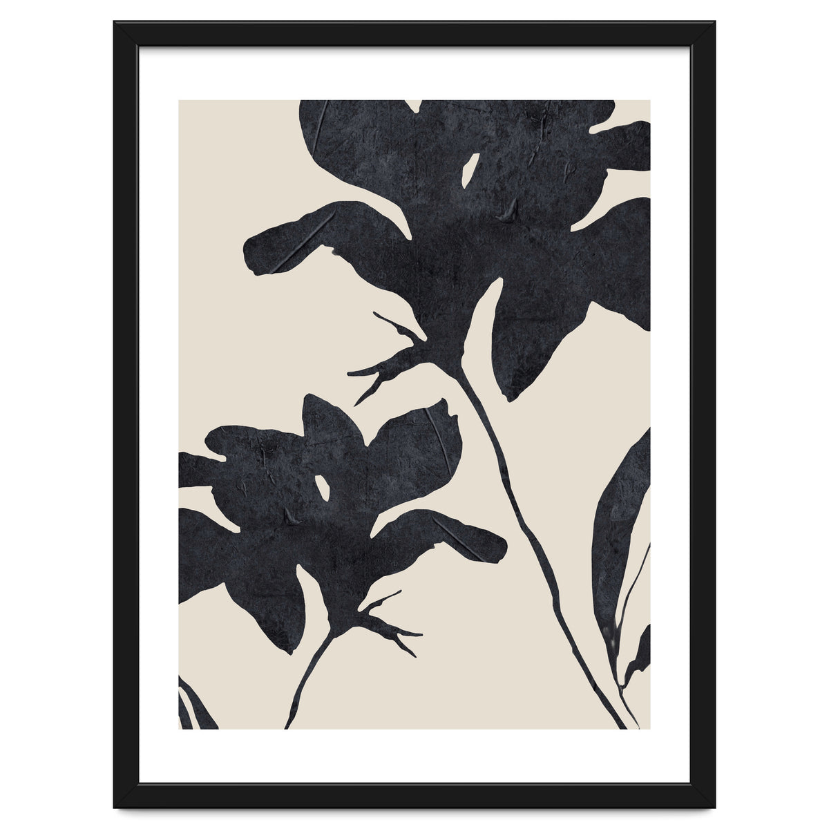 Shadowed Blooms