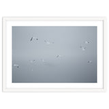 Flying seagulls in the winter sky thumbnail