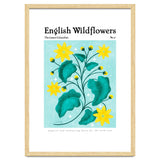 English Wildflowers | Lesser Celandine thumbnail